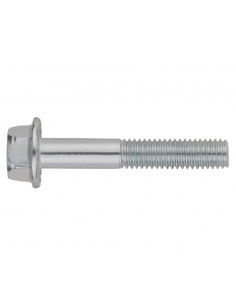 Tornillo DIN 6921 A2