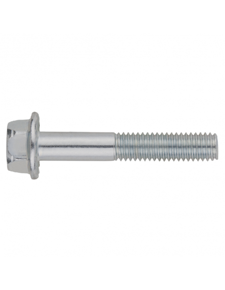 Tornillo DIN 6921 A2