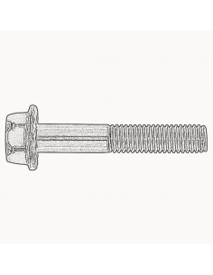 Tornillo DIN 6921 A2 2