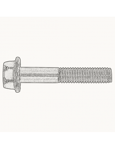 Tornillo DIN 6921 A2