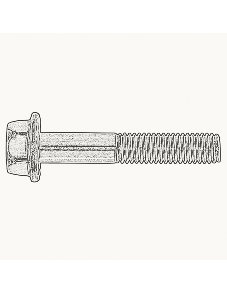 Tornillo DIN 6921 A2