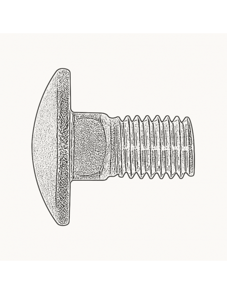 Tornillo DIN 603 A2